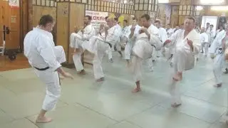 Методика тренировки маэ гери от Сергея Буякова