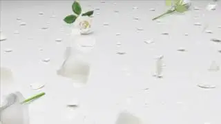 футаж 3 (белые розы)___СМОТРИМ ОПИСАНИЕ ПОД ВИДЕО