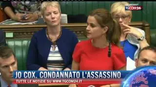 Tgcom24 - Breaking News 23/11/2016