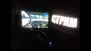 Ночная ДОРОГА ДУРАКОВ на ШКОДАХ в ETS 2 с РУЛЯМИ | TRUCKERS MP + Ultimate Chicken Horse,CS:GO,BeamNG