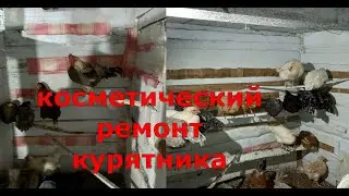 Побелка краскопультом курятник.2022г. #куры #курятина  #деревенька