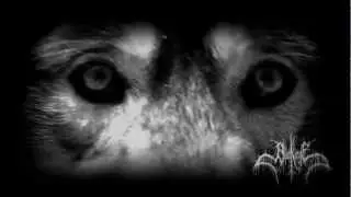 Blutklinge - Night I