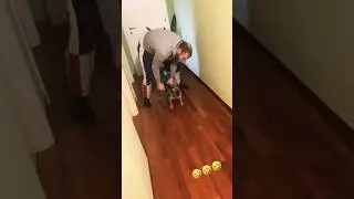 fast dog 🤣🤣🤣