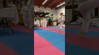 Лео, отчет по Тайквондо 4