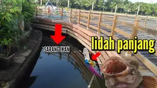 THE RISK OF FISHING ALONE IN ANCOL || 1 HOUR STRIKE PARTY || LIKE A PRIVATE SPOT 😱❗