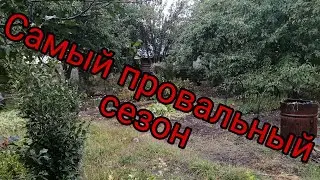 ОБЗОР участка/ Подготовка сада к осени/ Итоги самого провального сезона