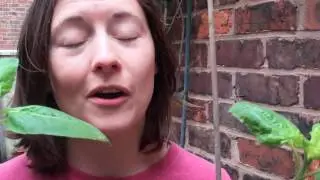 Here are my sunflowers: an introduction to Frances and Peter
