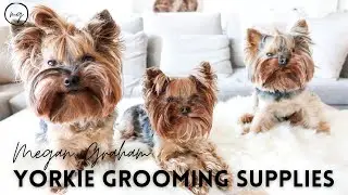 Yorkie Grooming Supplies | Yorkie 101