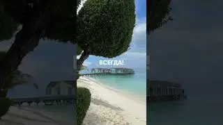 Когда сезон на Мальдивах ❤️ #мальдивы