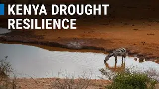 #worldenvironmentday: Drought Resilience in Kenya