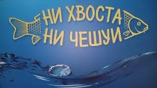 Поймал рыбу за Хвост. Рыбный беспредел.