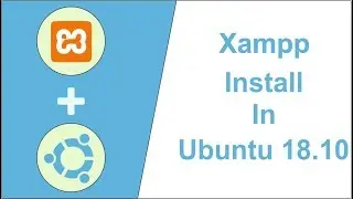 XAMPP Install In Ubuntu 18 04 18 10 19 04 - Create Shortcut and Take Ownership Of Htdocs Folder