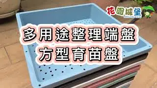 花盆整理盤 盆栽整理端盤 方型育苗盤 有洞 無洞 可重疊使用 多用途 萬用端盤 芽菜盤 播種栽培 #花園城堡園藝資材倉庫 #食農教育