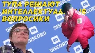 Маргинал и Каджит отвечают на интеллектуальные вопросы в дискорде
