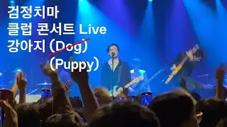 [Live Concert] 검정치마 - 강아지 (2022.11.12 @왓챠홀)