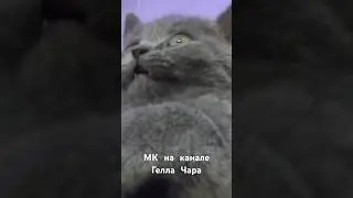 31 августа 2024 г.