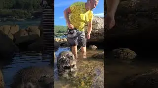 There were a lot of fish here, but we scared them all away 