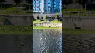 River Stone