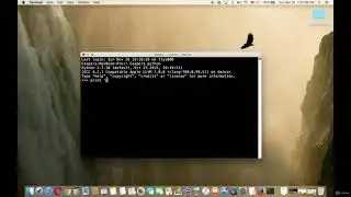 03  Using Our First Code of Python