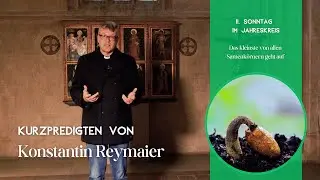 11. Sonntag im Jahreskreis - Kurzpredigten von Konstatin Reymaier
