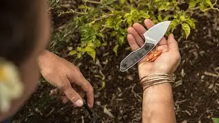 Gerber Stowe: Compact Fixed Blade Knife