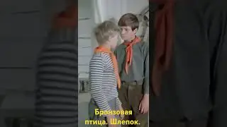 28 сентября 2024 г.