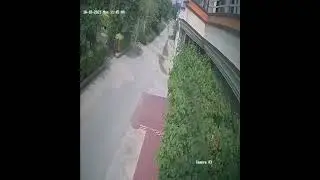 Green Town Pakpattan Bike Chor Part 2