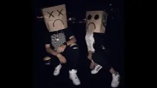 the 