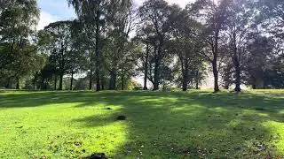 Nature autumn sunny day