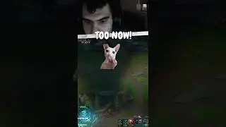 HOW TO GET 1700g WITH TWO ABILITIES! 🙀💰