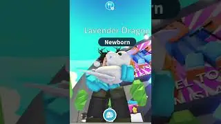 Getting Lavender Dragon in Adopt Me! 