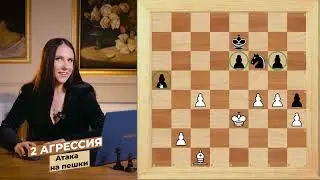 Агрессия в шахматах