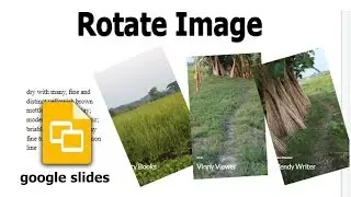 How to Rotate Image in Google Slides Presentation