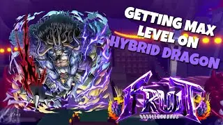 KILLING MARCO TO GET MAX LEVEL HYBRID DRAGON | FRUIT BATTLEGROUNDS
