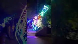 Last night view of Decoration  lahore canal