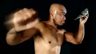 Shadow Boxing ASMR for Ultimate Focus 🥊