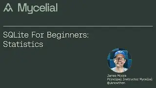 SQLite For Beginners: Statistics