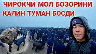 МОЛ АРЗОНЛАДИ! ЧИРОКЧИ МОЛ БОЗОРИ НАРХЛАРИ 2022 CHIROQCHI MOL BOZORI.