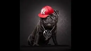 Arka Sokaklar Thug Life Mesut KomiserHüsnü KomiserRıza Baba 2017