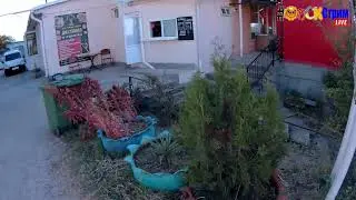 Оленёвка, Маяк, мыс Тарханкут, скалы Атлеша, чаша люб...