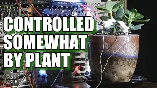Ambient Generative Synth - Controlled Somewhat by Plant