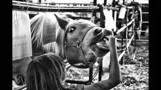 Concorso Fotografico 