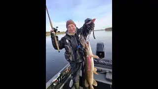 Щука на реплику BigMcRubber от JigZakaz.ru/