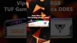 無畏極速！Viper Elite 5 RGB TUF Gaming Alliance DDR5 聯名記憶體 | Patriot Viper 博帝科技