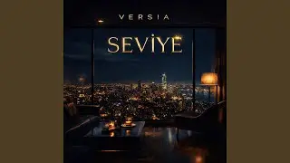 SEVİYE