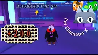 Я ПОПАЛ В ТОП 100 МИРА В ПЕТ СИМУЛЯТОР X! - I AM IN THE TOP 100 OF THE WORLD IS PET SIMULATOR X !