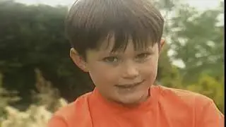 Teletubbies: All About Colours