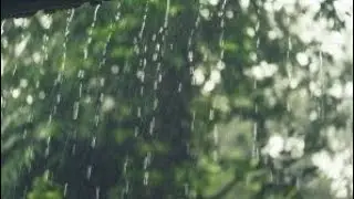 Let the rain wash away, all the problem of yesterday ☔🌧️