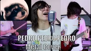 Pedro Pedro Pedro - Metal Cover