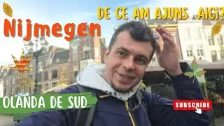 🇳🇱 Munca in Olanda, Pas cu pas: Cum să obții BSN Number legal și simplu!🇳🇱